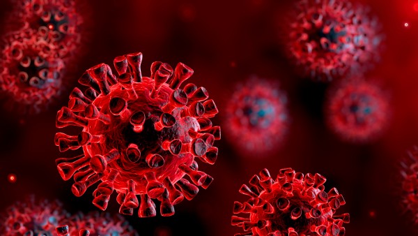 Virus unter Mikroskop